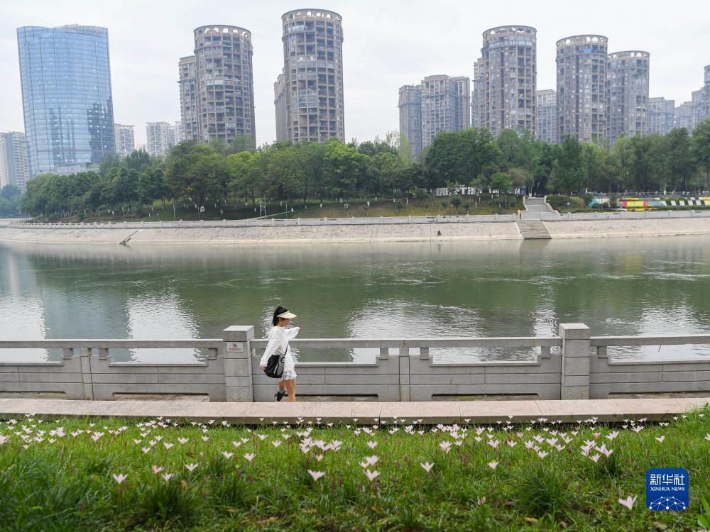 手机电游娱乐平台